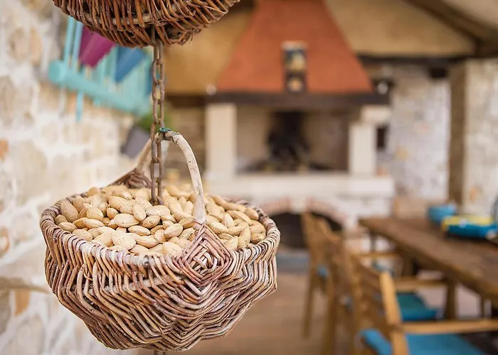 Elizabeta Vikendica Umag