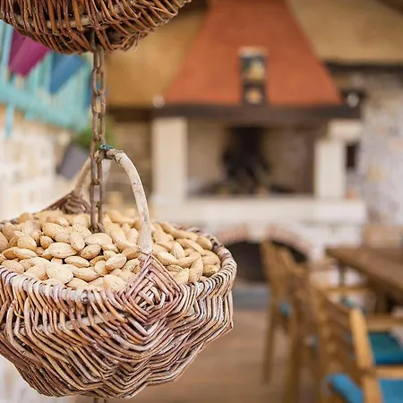 Elizabeta Holiday home Umag
